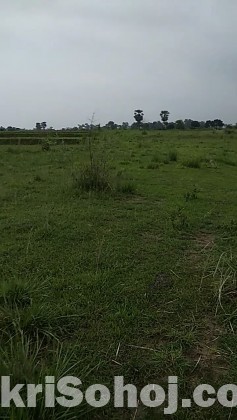 52 bigha land for sale